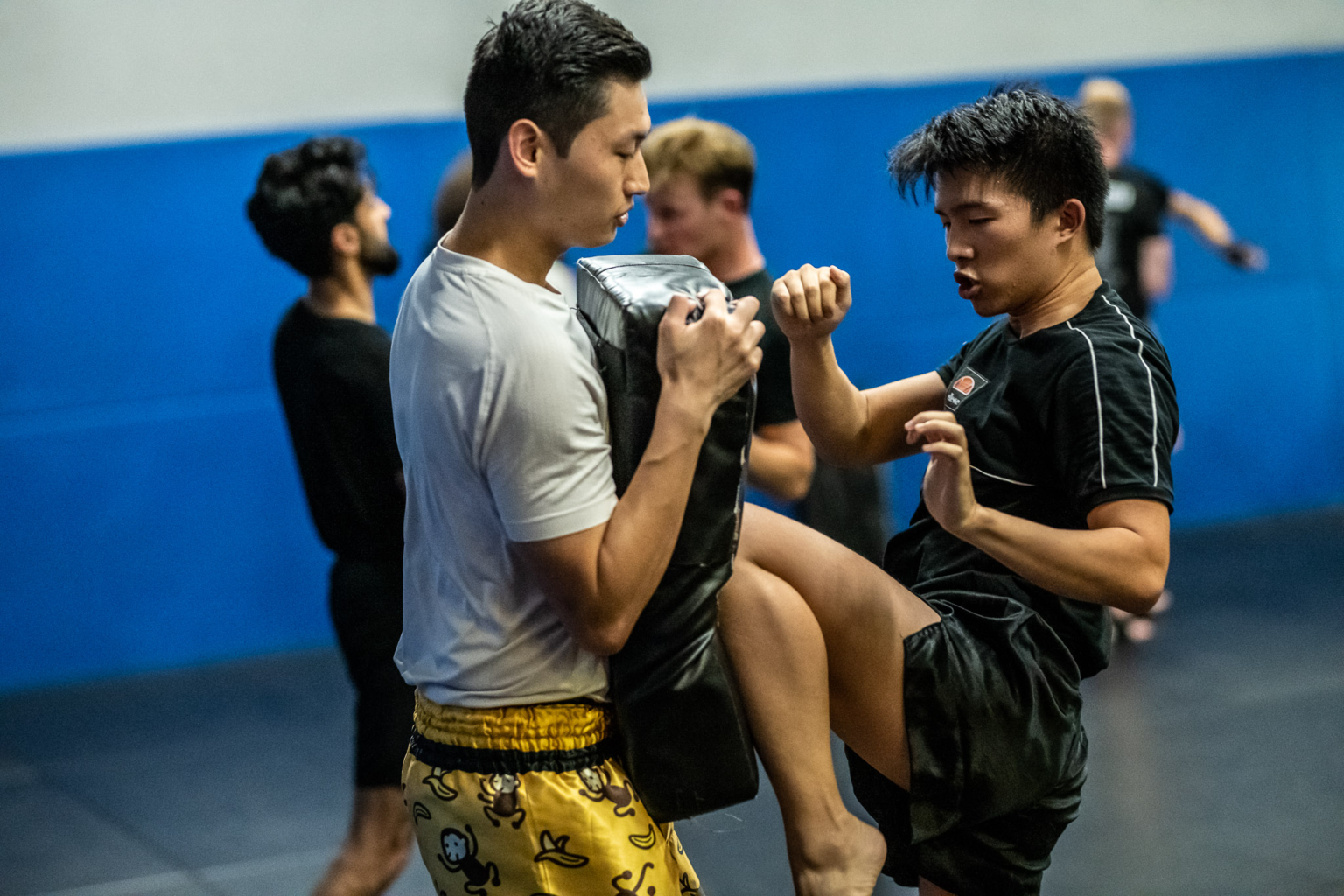 MUAY THAI – ULTIMATE SELF DEFENSE